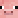 bigpig4
