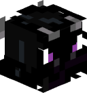 Ender_stand's head