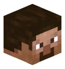 Minecraft_Net_ed's head