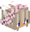 TypicalSkyblock's head