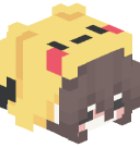 pikachu6464's head