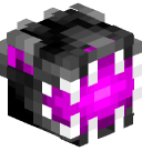 EnderPicture's head