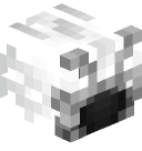 TheWhiteout's head