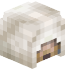 Nether_Roaf's head