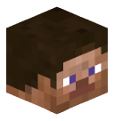 Minecraft0246's head