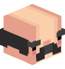 Bricklet's head