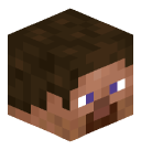 _Miner_Steve_'s head