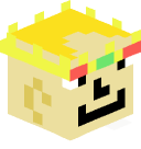 MinecraftIsSick's head