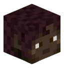 MinecraftDerEi's head