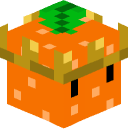 Orangers's head