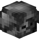 adri_Minecraft1's head